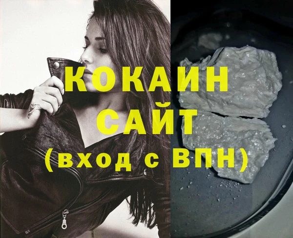 соль ск Пересвет