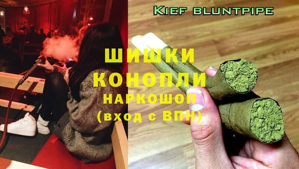 амф Елабуга