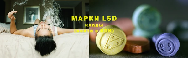 скорость mdpv Елизово