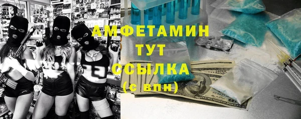 соль ск Пересвет