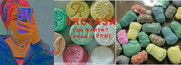 соль ск Ельня