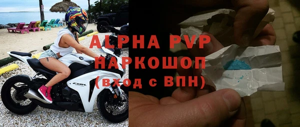соль ск Ельня