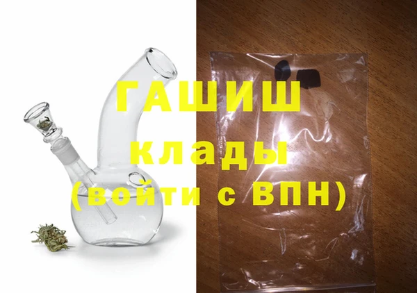 соль ск Ельня